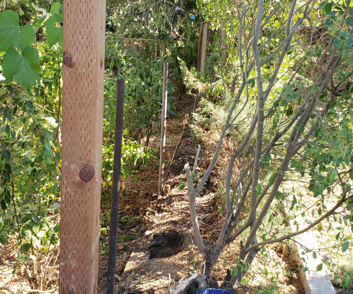 Brand new redwood privacy fence installation in a San Jose backyard, showing clean lines and professional finishing.